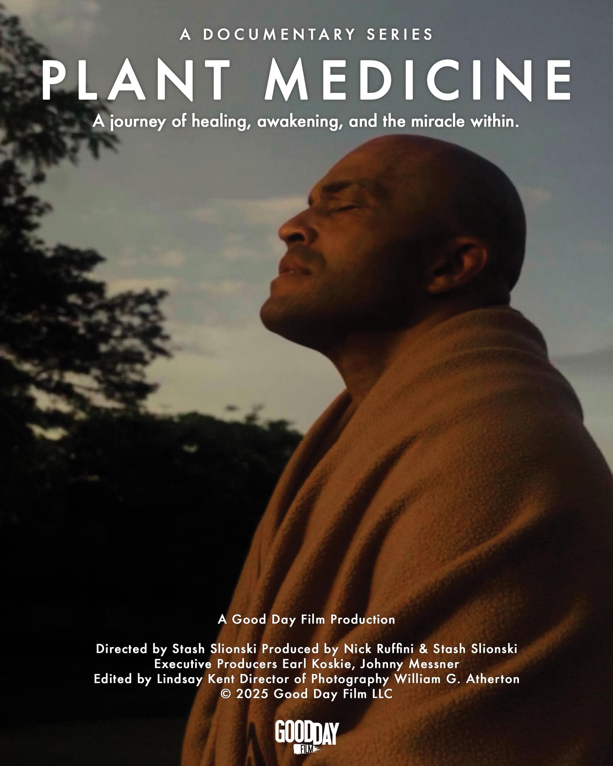 Poster of Plant Medicine